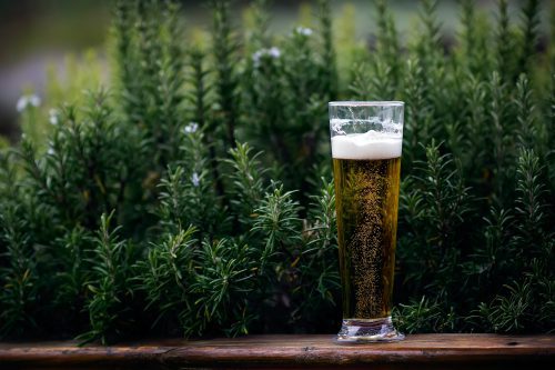 Widawa Browar – jakie piwo wybrać?